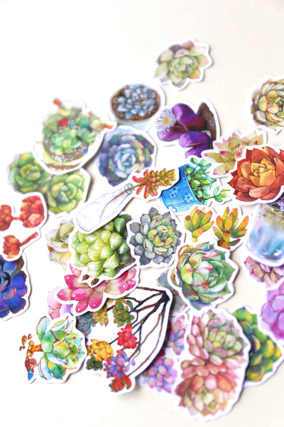 Succulent plants stickers set/ Planner Stickers/ Filofax Stickers/Lap top stickers/Scrapbook Sticker/OS064