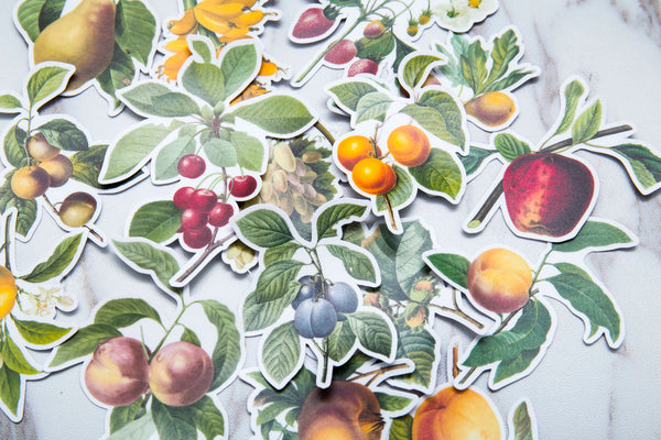 summer fruit stickers /fruit Stickers/ Filofax Stickers/apple stickers/Floral Scrapbook Sticker/orange stickers