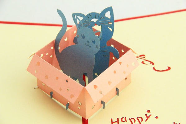 kitty in the box in Pop up card