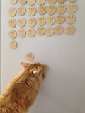 Rustic Save The dates Magnets