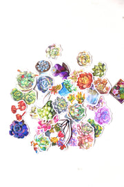 Succulent plants  stickers set/ Planner Stickers/ Filofax Stickers/Lap top stickers/Scrapbook Sticker/OS064