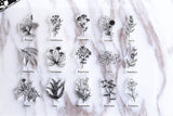 Flower Plant Names transparent Stamp, Planner Stamp, pen stamp, cute stamp, kawaii stamp, Rubber transparent clear stamp