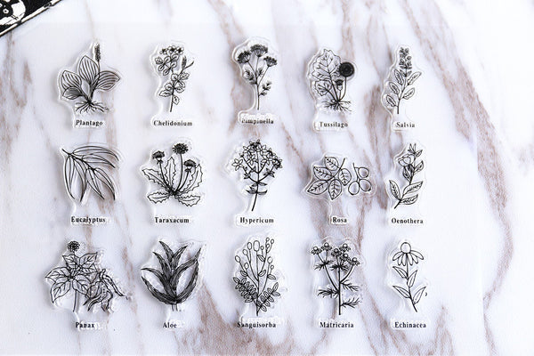 Flower Plant Names transparent Stamp, Planner Stamp, pen stamp, cute stamp, kawaii stamp, Rubber transparent clear stamp