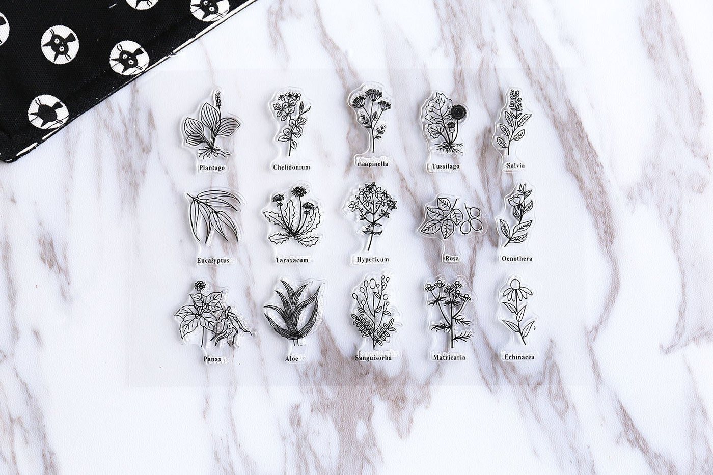 Flower Plant Names transparent Stamp, Planner Stamp, pen stamp, cute stamp, kawaii stamp, Rubber transparent clear stamp