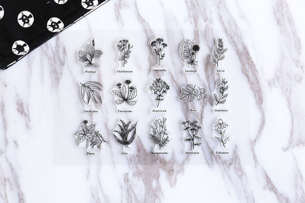 Flower Plant Names transparent Stamp, Planner Stamp, pen stamp, cute stamp, kawaii stamp, Rubber transparent clear stamp