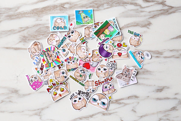cute owl  Stickers set/beautiful owl Planner Stickers/ Filofax Stickers/Lap top stickers/Scrapbook Sticker