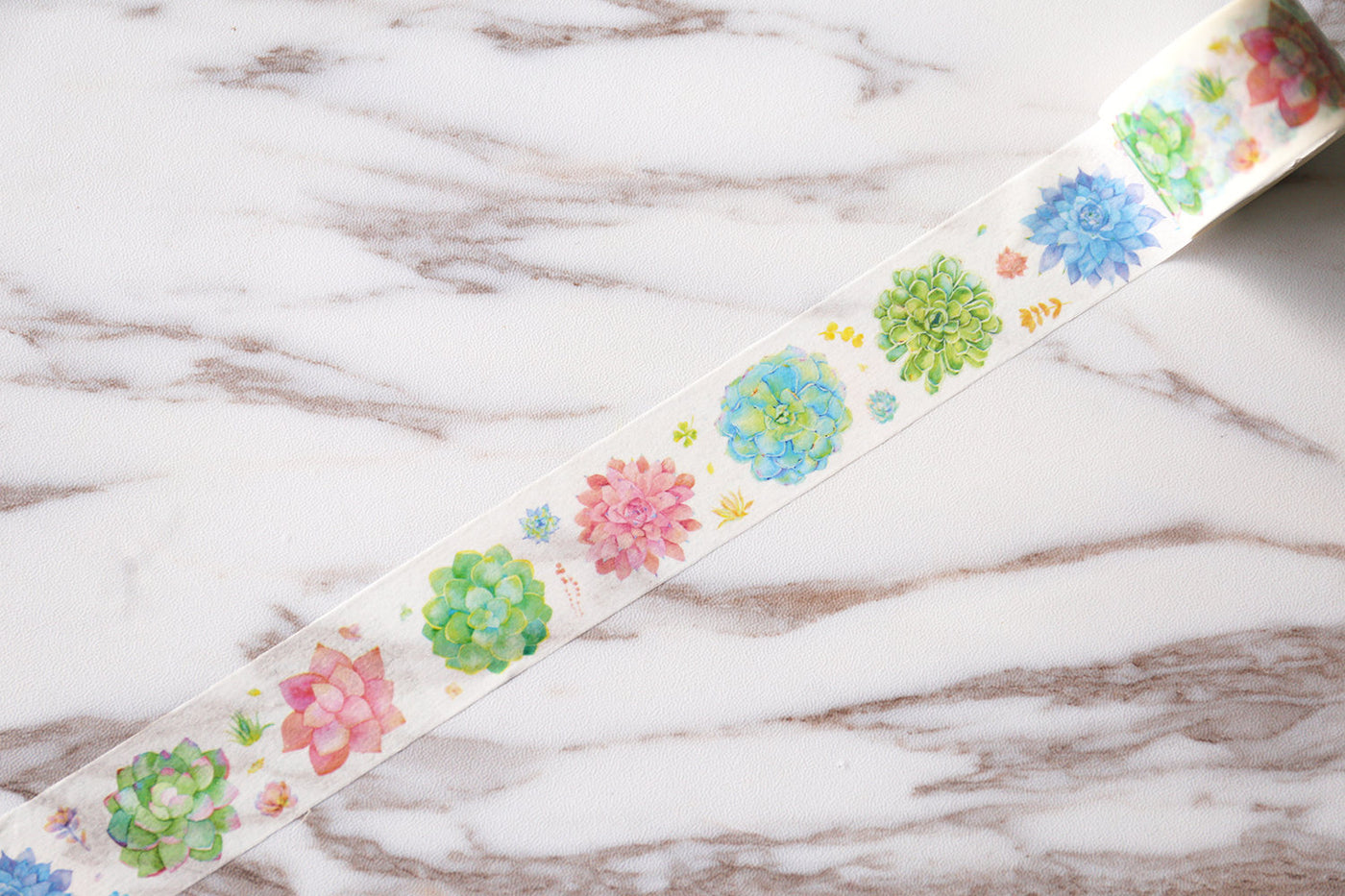 Succulent plants pattern washi tape/fun  washi tape/  Masking tape/ washi tape/Planner Supplies/planner accessories