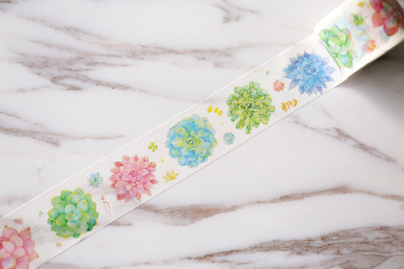 Succulent plants pattern washi tape/fun  washi tape/  Masking tape/ washi tape/Planner Supplies/planner accessories
