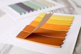 Colorful Sticky Notes/Seasonal Fade Color Sticky Note/planner sticky notes/Notepads, Memo Pads, Reminder Notes,/Memo Pad Stickers