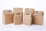 Kraft wedding favor bags /Gift package / Wedding favors/Kraft Paper Bags with Handle