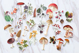 cute Mushroom stickers set/  Vegetables Planner Stickers/ Filofax Stickers/radish stickers /plant stickers/tree stickers