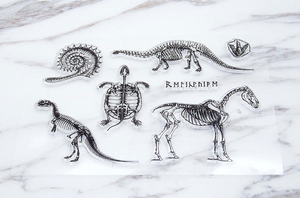 Dinosaur clear Stamp/Fossil rubber Stamp/ Illustration Stamp, Animal Stamp, Abstrack clear Stamp/Science Stamp, Skull Stamp, Wild life Stamp
