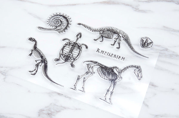 Dinosaur clear Stamp/Fossil rubber Stamp/ Illustration Stamp, Animal Stamp, Abstrack clear Stamp/Science Stamp, Skull Stamp, Wild life Stamp