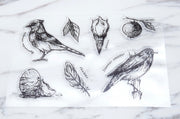 birds  clear Stamp/skull rubber Stamp/ feather clear Stamp/ Animal Stamp/ leaves clear Stamp/