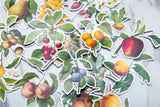 summer fruit  stickers /fruit   Stickers/ Filofax Stickers/apple  stickers/Floral Scrapbook Sticker/orange stickers