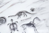 Dinosaur clear Stamp/Fossil rubber Stamp/ Illustration Stamp, Animal Stamp, Abstrack clear Stamp/Science Stamp, Skull Stamp, Wild life Stamp