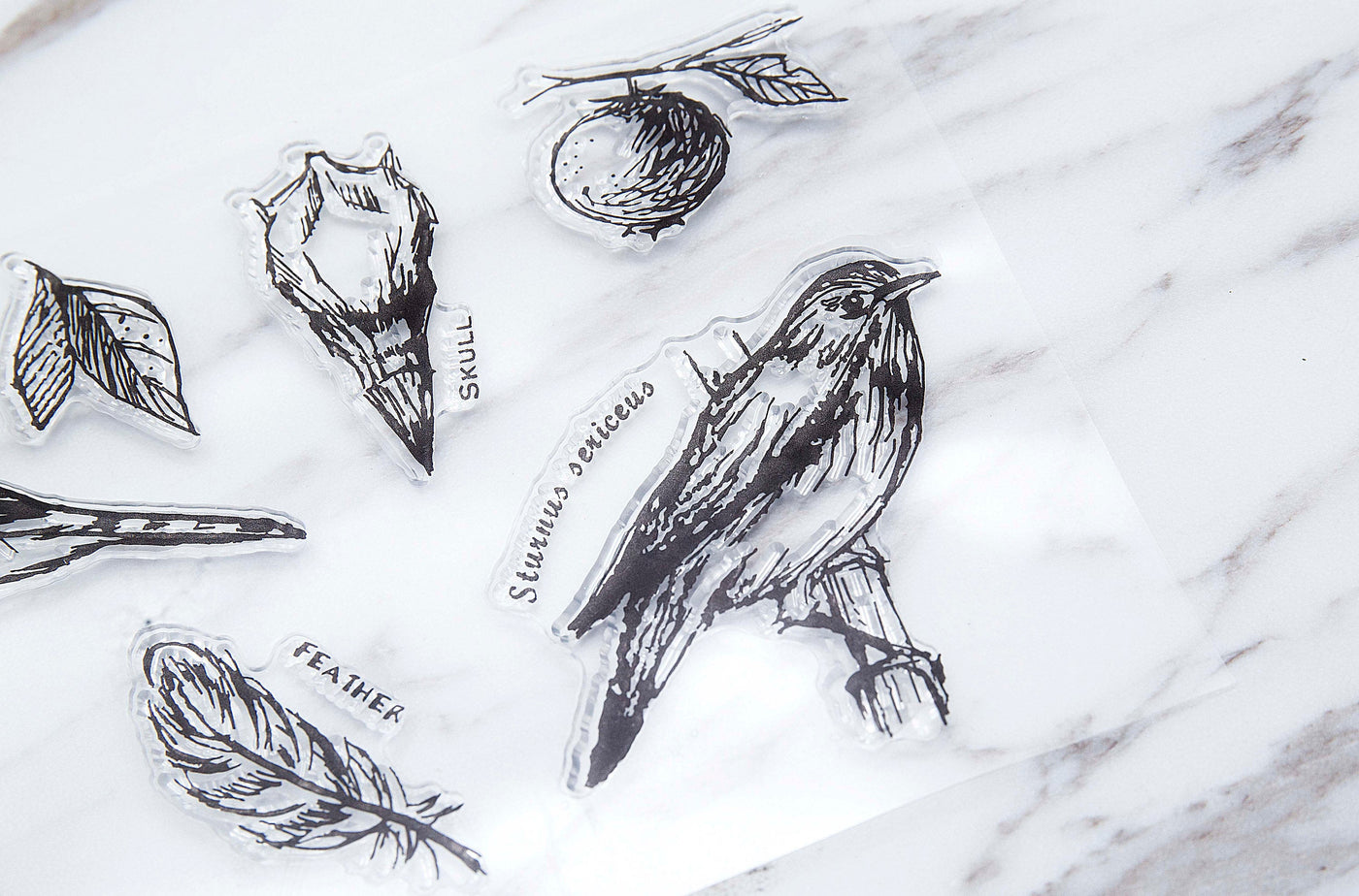 birds  clear Stamp/skull rubber Stamp/ feather clear Stamp/ Animal Stamp/ leaves clear Stamp/