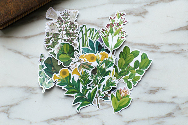 Flower Garden stickers/beautiful flowers stickers/plants and flowers stickers/  Planner Stickers/ Filofax Stickers
