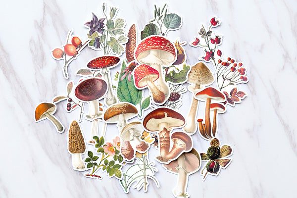 cute Mushroom stickers set/  Vegetables Planner Stickers/ Filofax Stickers/radish stickers /plant stickers/tree stickers