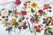 Retro flowers stickers/botanic stickers/planner stickers/scrapbooking stickers/sunflower stickers