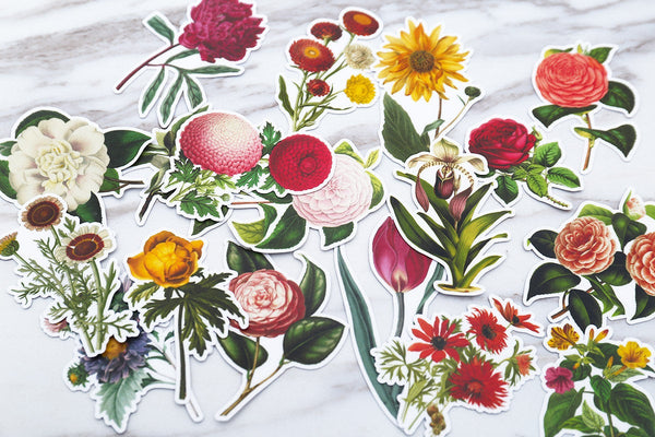 Retro flowers stickers/botanic stickers/planner stickers/scrapbooking stickers/sunflower stickers