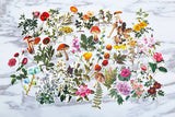 Botanical floral stickers/plants Planner Stickers/ Filofax Stickers/Lap top stickers/Scrapbook Sticker