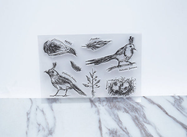 Birds  clear Stamp/skull rubber Stamp/ feather clear Stamp/Animal stamp/cute stamp/Rubber transparent clear stamp