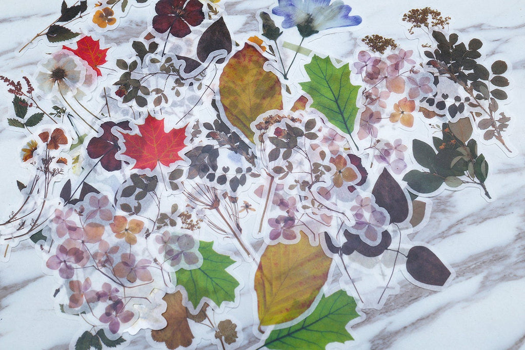 Leaves Stickers / Maple leaf Sticker / Planner Stickers/ Colorful Stickers/Dry leaf stickers/Leaf specimen Sticker OS065
