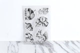 Squirrels Clear Rubber Stamp/Cute squirrels Clear Stamp/pinecone transparent clear stamp/beautiful leaves  clear stamp