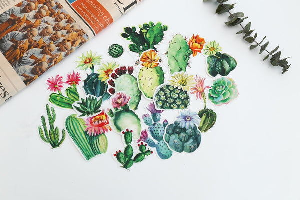 cactus stickers set/ cactus and flowers Planner Stickers/ Filofax Stickers/Cacti Sticker Flakes/ Desert Watercolor stickers