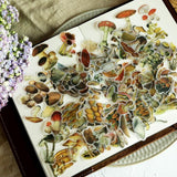 Mushroom collection Washi Stickers*100 Piece Bag of Botanical Stickers*Junk Journal, Card, Scrapbook, Planner, Collage Supply