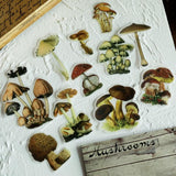 Mushroom collection Washi Stickers*100 Piece Bag of Botanical Stickers*Junk Journal, Card, Scrapbook, Planner, Collage Supply