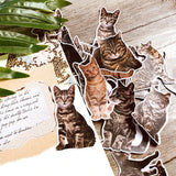 Cut cate sticker set/ Pet Stickers/ Vintage Pet Stickers/Lap top stickers/Scrapbook Sticker
