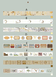 Gold foiled  washi tape /Mysterious cosmic constellation washi tape /Masking Tape /Scrapbooking Planner /