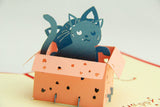 kitty in the box in  Pop up card