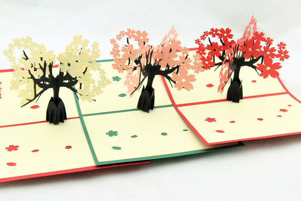 cherry blossom in pop up card