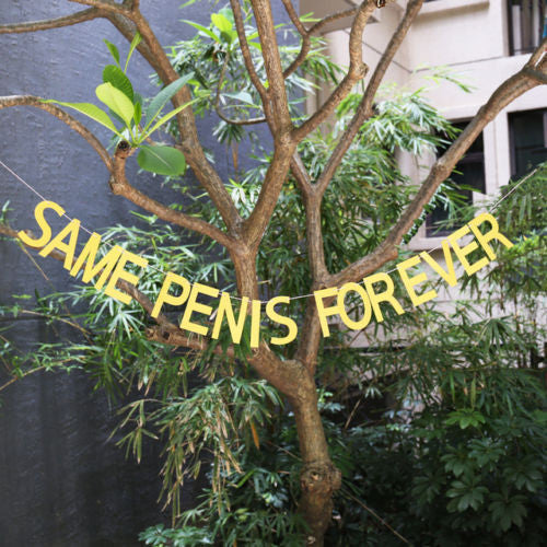 Same penis forever banner, Gold Glitter garland, Bachelorette Party Banner Glitter banner,penis party supplies,bachelorette favors